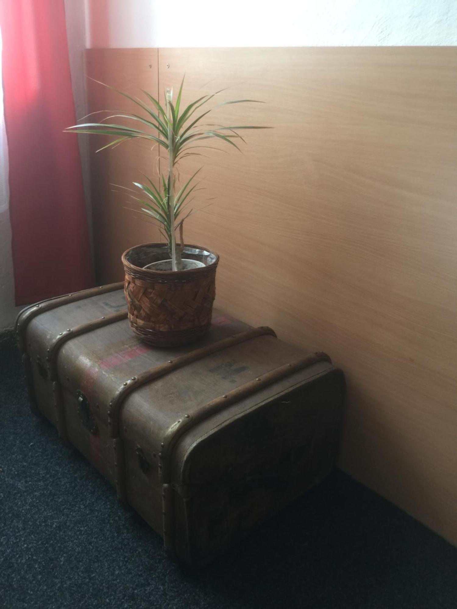 Chrast Hotel Dvorak المظهر الخارجي الصورة