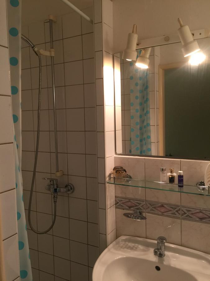 Chrast Hotel Dvorak المظهر الخارجي الصورة
